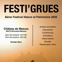 Festi'grues