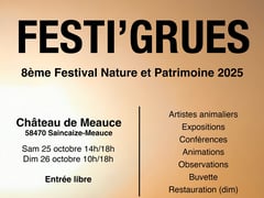 Saincaize-Meauce