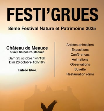 Festi'Grues 2026 affiche
