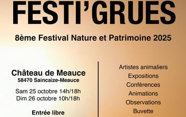 Festi'grues