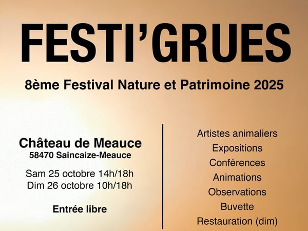 Festi'grues