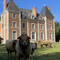 Visite du château de Neuvy-sur-Loire
