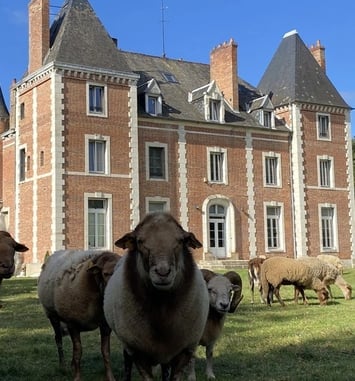 Visite du château de Neuvy-sur-Loire