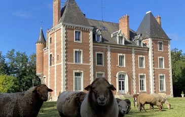 Visite du château de Neuvy-sur-Loire