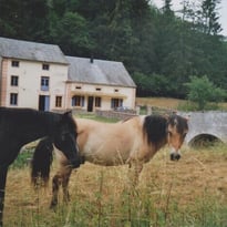 Visite du moulin de Marnay
