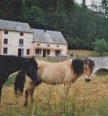 Visite du moulin de Marnay