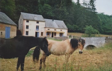 Visite du moulin de Marnay