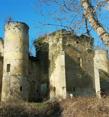 Visite guidée du château de Champlemy