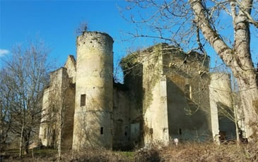 Visite guidée du château de Champlemy
