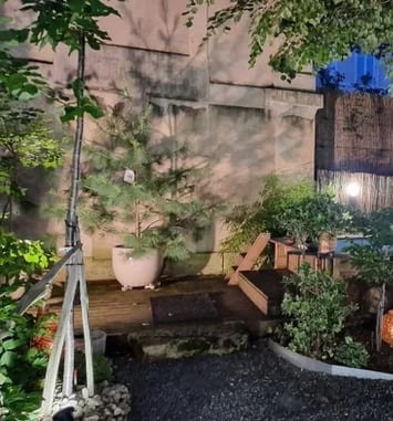 La maison Tanabata, l'esprit du Japon