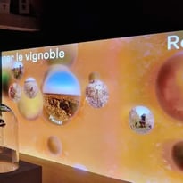 Visite Immersive de La Tour du Pouilly Fumé