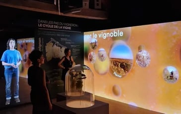 Visite Immersive de La Tour du Pouilly Fumé