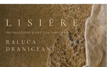 Installations d'art contemporain par Raluka Draniceanu